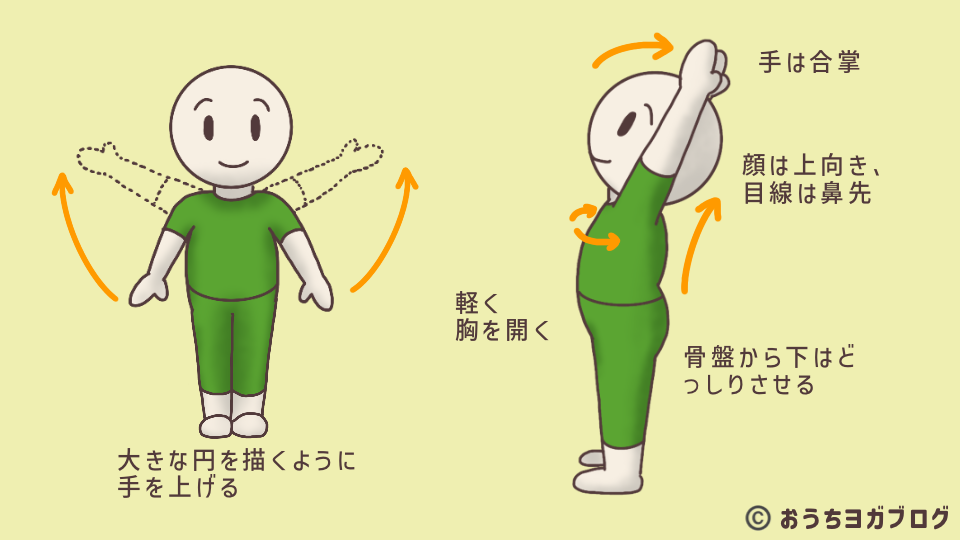 イラスト図解・両手を上に伸ばすポーズ（アシュタンガヨガ）