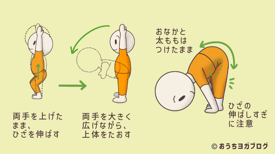 イラスト図解・強い前屈のポーズ（アシュタンガヨガ・太陽礼拝B）