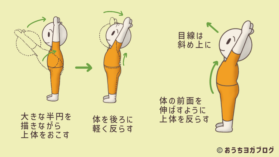 両手を上に伸ばすポーズ（シヴァナンダヨガ・前屈から）