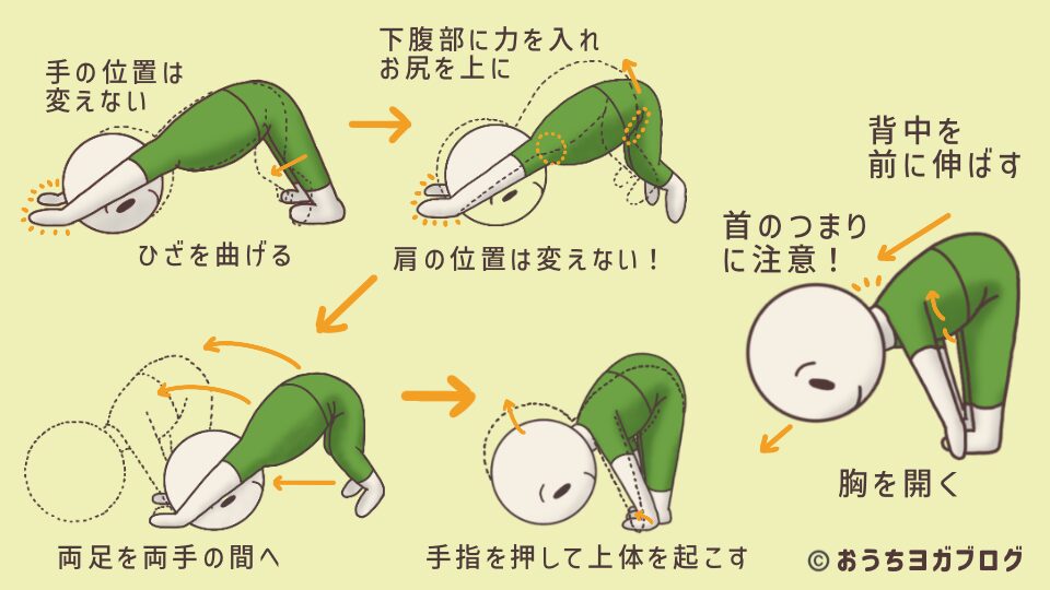 イラスト図解・半分の前屈のポーズ2回目（ダウンドックから・アシュタンガヨガ）