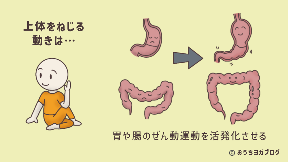 上体ねじりの効果（消化器系）